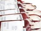 Durante o inverno, pandemia preocupa ainda mais os bancos de sangue